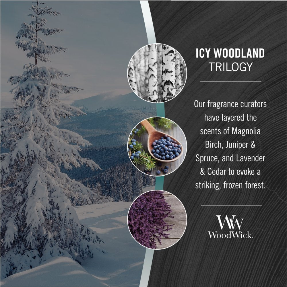 WoodWick Icy Woodland Trilogy
